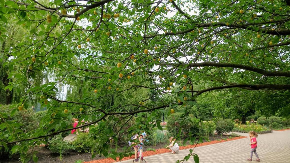 Apartment On Rusanivska Naberezhnaya 22 키예프 외부 사진
